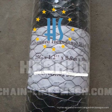 Low Price Electro Galvanized Hexagonal Wire Mesh